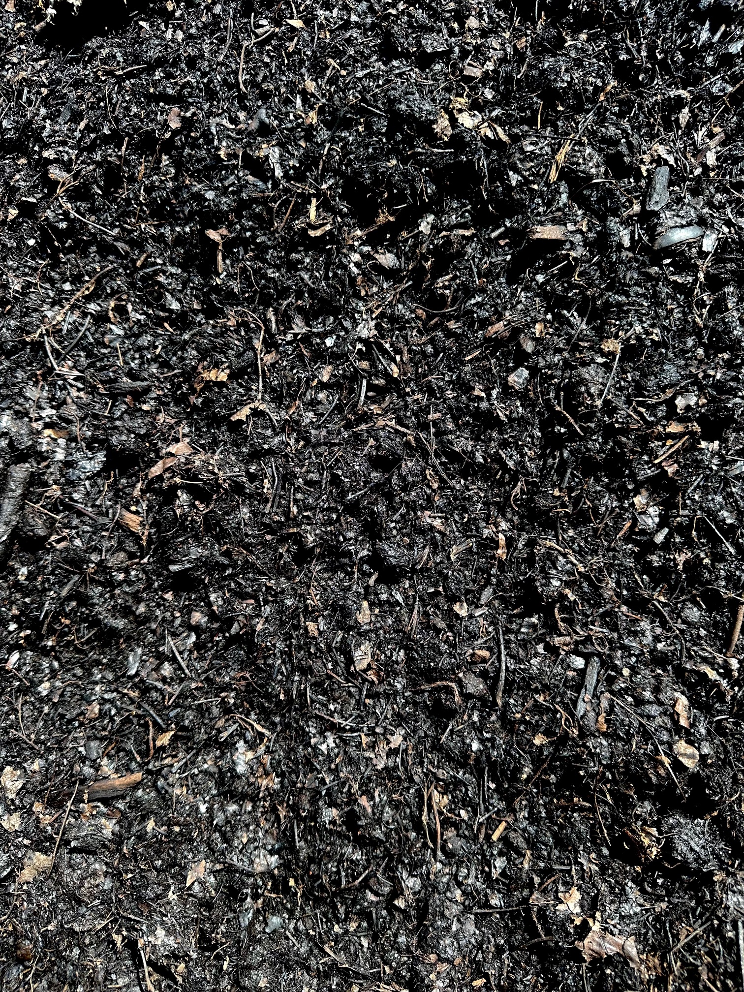 https://shop2.three-z.com/storage/photos/1/Products/Compost/Leaf Humus/LEAF HUMUS.jpg
